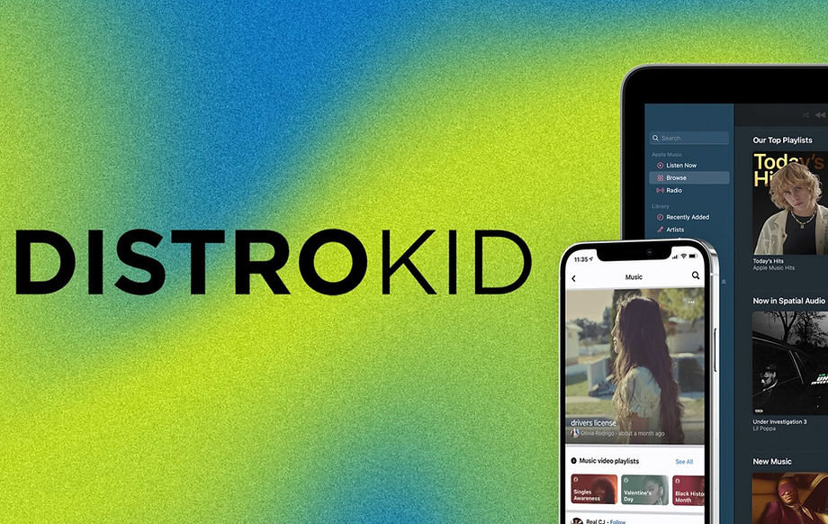 DistroKid project visual